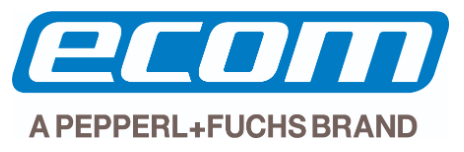 ECOM Instruments logo